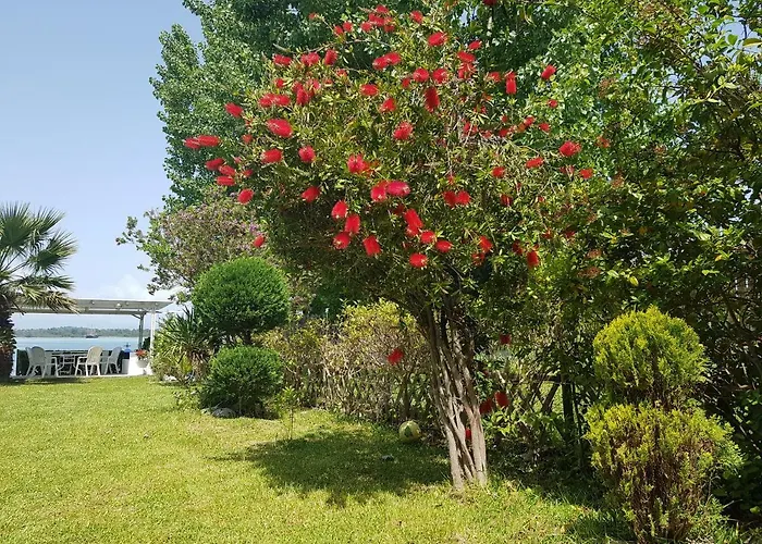 Dimitra's House * Vourvourou