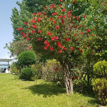 Dimitra's House * Vourvourou